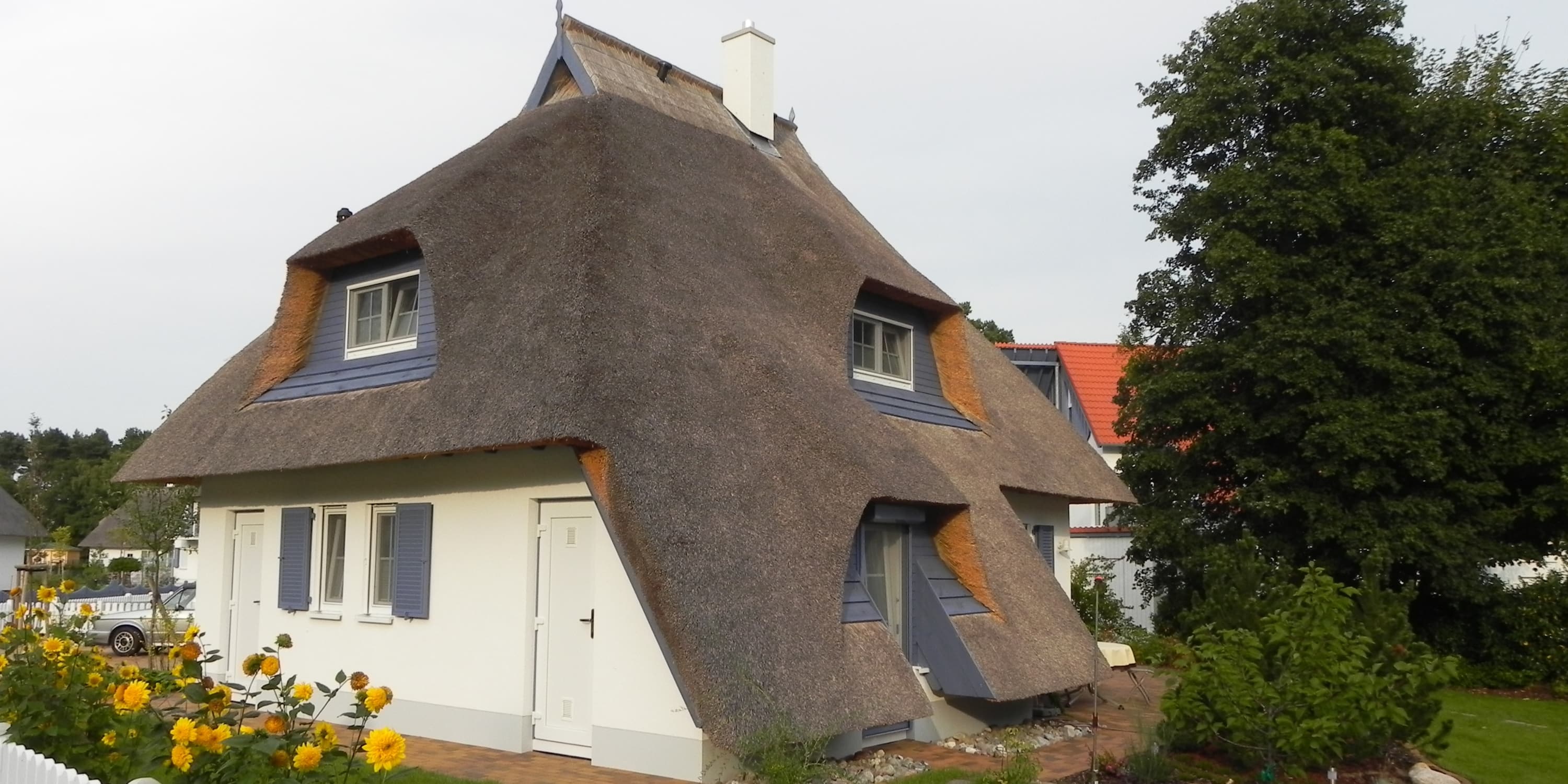 landelijk gevel rieten dak
